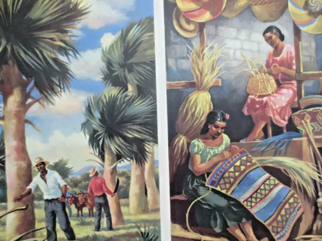 1950s SCHOOL POSTER  WEST INDIES Raffia Palms & Making Hats Macmillans Geography