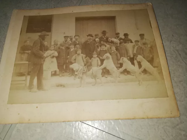 Rare Carte Postale Ancienne. Photo.spectacle De Rue Chiens-Singe.1886.Aude??