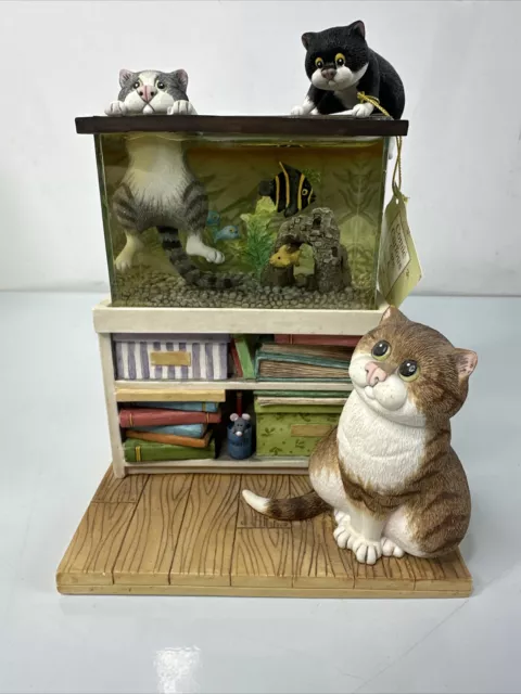 Comic & Curious Cats:-Linda Jane Smith Model A604 Truly Tropical - Original Box