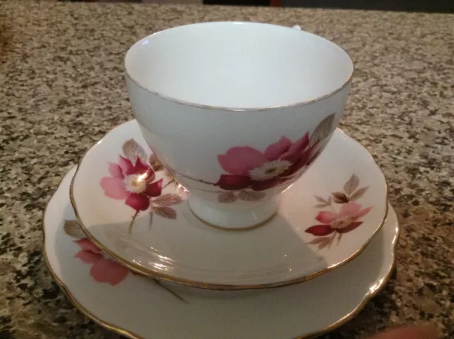 Royal vale trio bone china made in england