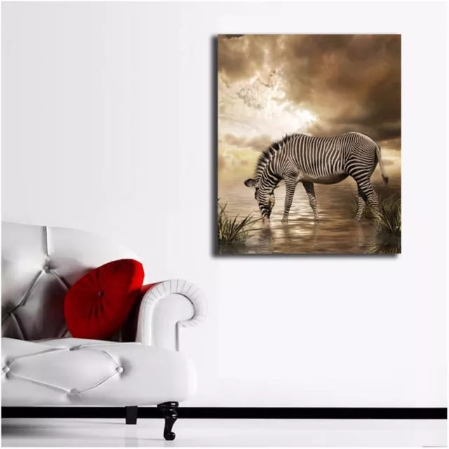 Zebra Stretched Canvas Prints Framed Hanging Wall Art Home Decor Animal Painting