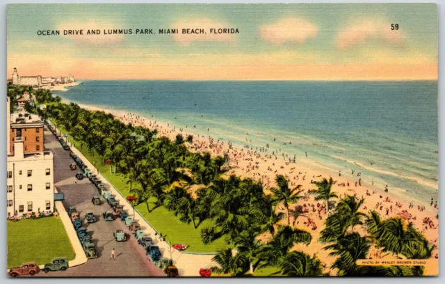 Ocean Drive and Lummus Park, Miami Beach, Florida - Postcard