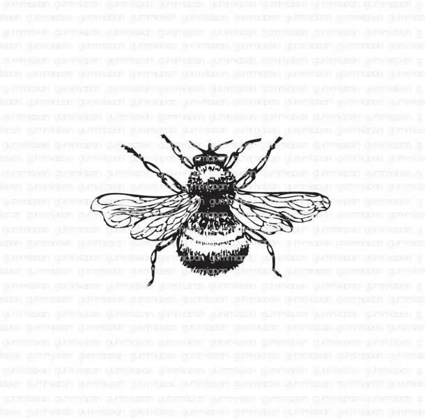 Gummiapan Gummistempel 19040425 - Hummel Biene Flügel Fliegen Insekt Mittel