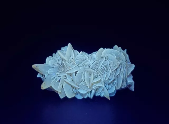 Gypsum var. Selenite 2