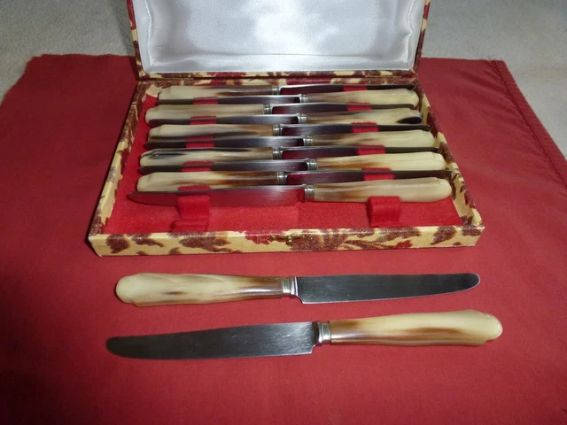 Coffret De 12 Couteaux De Table - Manche Corne Et Lame Inox - Fabrication Française