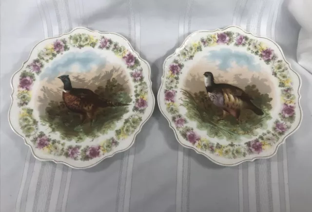 Pair Of  Lovely Pheasant CARL TIELSCH CT  Germany 12 Inch Hand Painted Plates