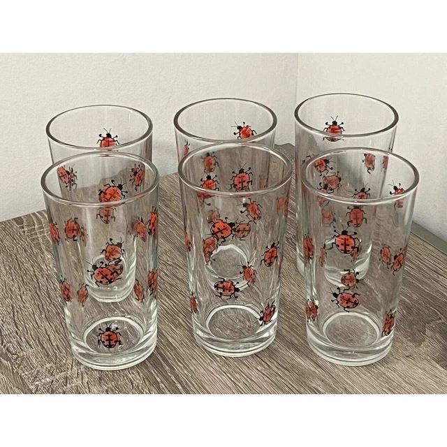 Vintage Ladybug Glasses Retro Tumblers 5 1/2" Tall 12 oz Firna Set of 6