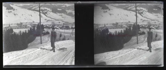 France Snow Mountain NEGATIVE Photo Stereo Glass Plate VR11r4  