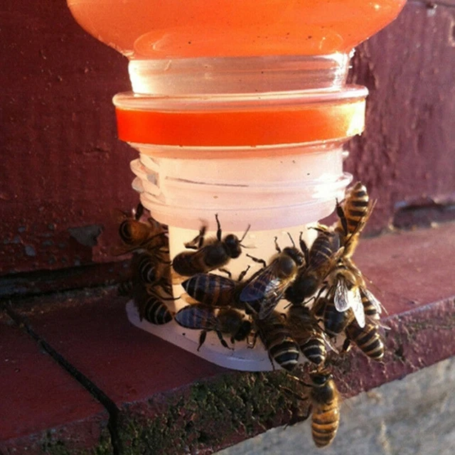Juego de equipo alimentador de agua de abeja reemplazo industrial para apicultura