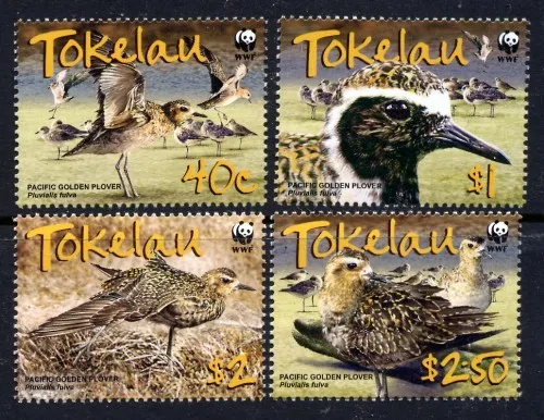Tokelau 2007 - WWF Pacific Plover - Complete Set of 4  MUH