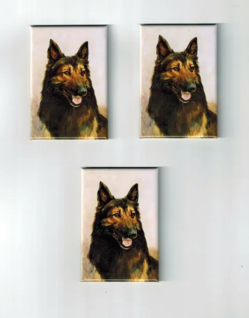 New Belgian Tervuren Pet Dog Magnet Set 3 Magnets By Ruth Maystead MFR # BET-4
