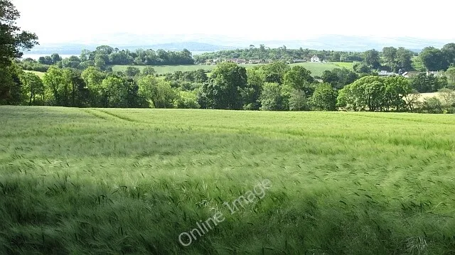 Photo 6x4 Barley field, Croftgary Aberdour  c2011