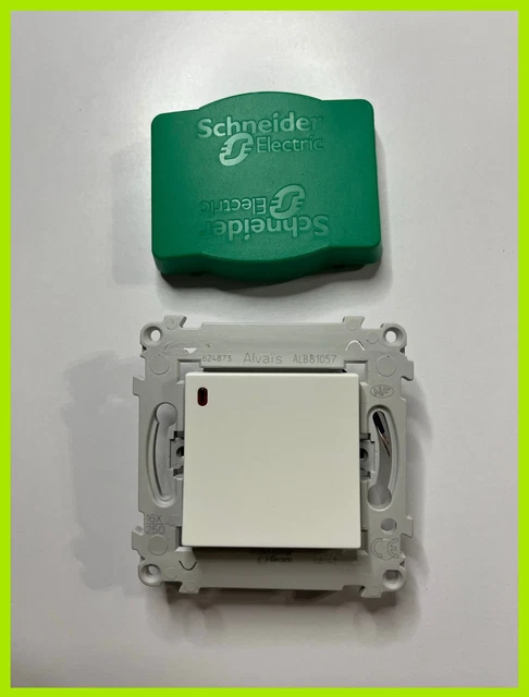 Schneider Electric - Ovalis - poussoir à fermeture - lumineux - avec griffes Avec plaque -Anthracite - S465276
