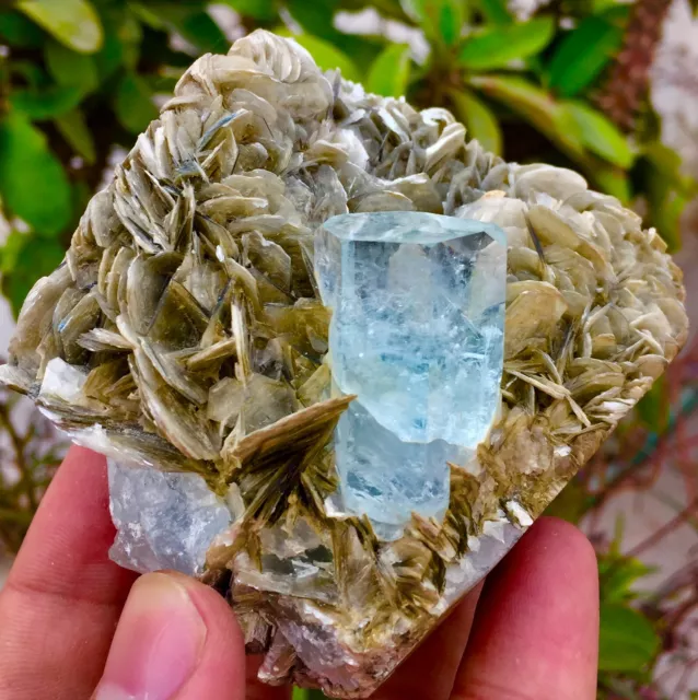 2185 Cts Top Class Terminated Blue Color Aquamarine with Muscovite specimen 2