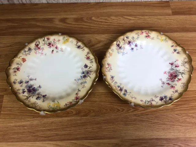 Pair Of George Jones & Sons Crescent China RD No 165075 Plates Floral Design
