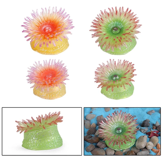 Vita marina Anemone di mare  Decorazione per acquario Decorazione di giocattoli