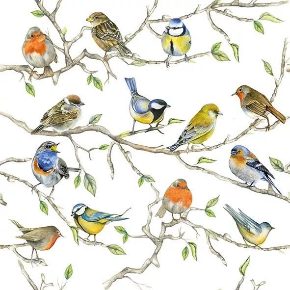 4 x Single Paper Napkins/3PLY/33cm/Decoupage/Assorted Garden Birds