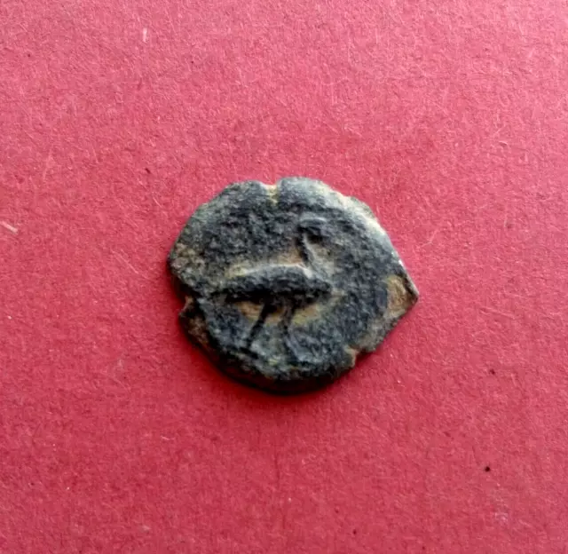 Roman Provincial Æ Dichalkon *Ibis-Crocodile* 1st cent AD 1.8g-17mm RARE