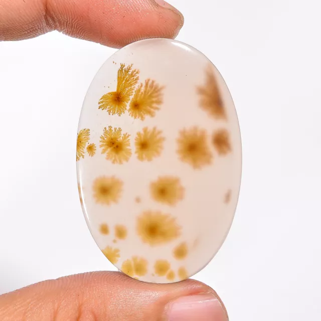 Beautiful Scenic Dendritic Agate 45.00Cts. 100% Natural Oval Cab Loose Gemstone