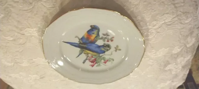 Bareuther Waldsassen Bavaria Germany Plate of 2 parrots, Hand Painted, no chips