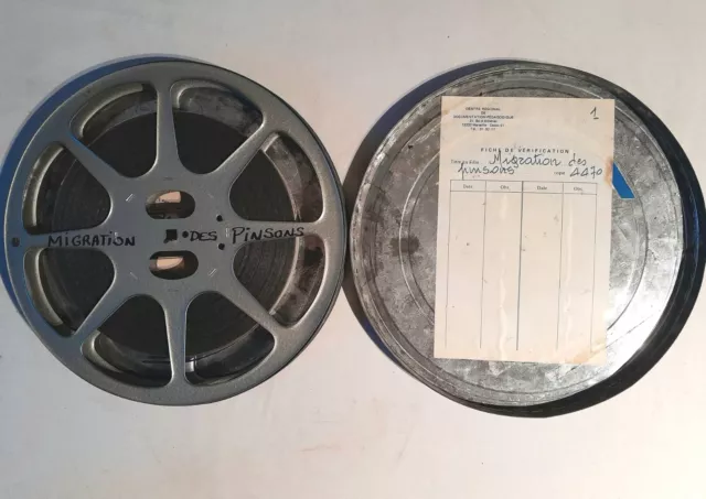 FILM 16 mm - Doc. "Migration Des Pinsons" - Vintage