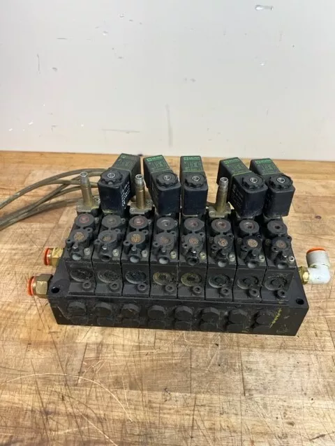 Pneumatic Manifold with Aro A249ss-024-D Solenoid Air Control Valves 24V