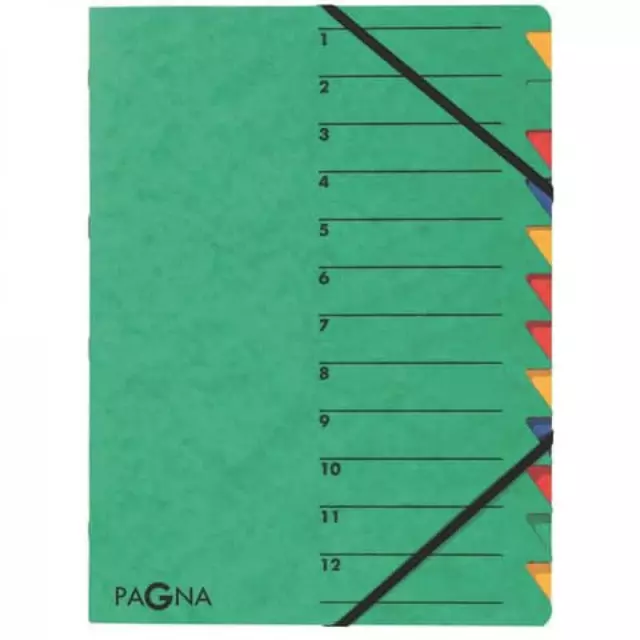 PAGNA Ordnungsmappe Easy 12 Fächer 1-12 grün 24131-03 (4013951004764)