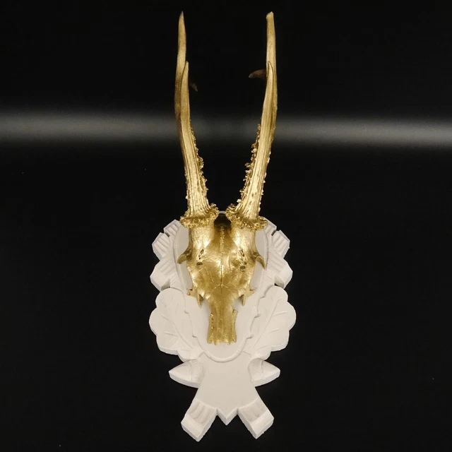 Asta de Ciervo Dorado Cornamentas Blanco Placa Colorido Decoración Idea Regalo 2
