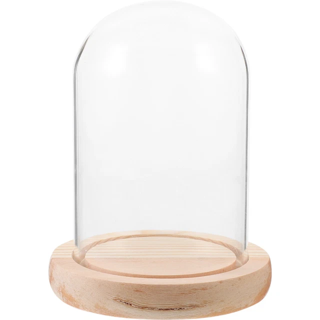 PATIKIL Cloche In Vetro Borosilicato Con Base In Legno Nero - Cupola Per Esposizione 12,5x9,1cm - Centrotavola Per Fiori, Candele E Collezioni