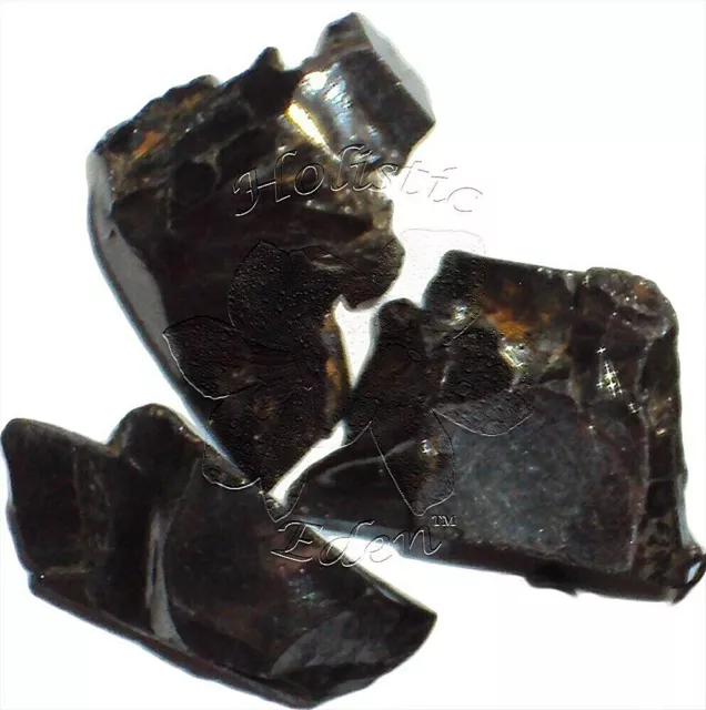 6 Gram Elite Noble Shungite Rough Crystal Miracle Healing Stone EMF Protection 3