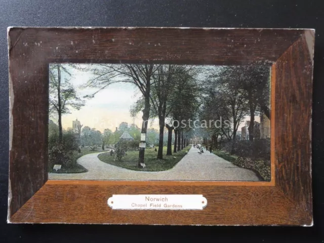 Norfolk NORWICH Kapelle Felder Gärten - alte Postkarte von Woolstone Bros. 184