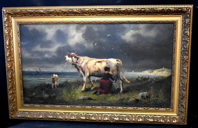 Groupe De Vaches Dans Un étang Image stock - Image du rural, été: 10431921