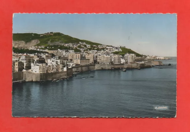 Algérie - ALGER - Vue générale sur Bad-El-Oued et Notre-Dame d'Afrique   (K5025)