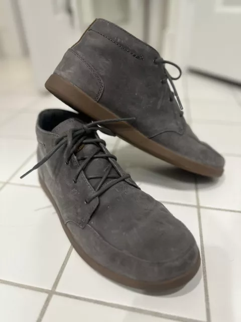 Reef spiniker mid 2025 wt