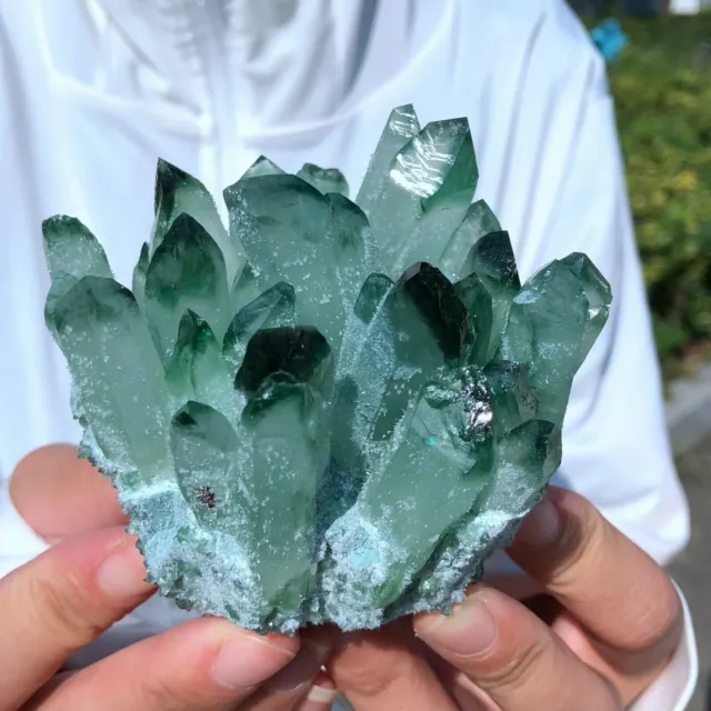 New Find Green Phantom Quartz Crystal Cluster Mineral Specimen Healing300g+/1pcs 9