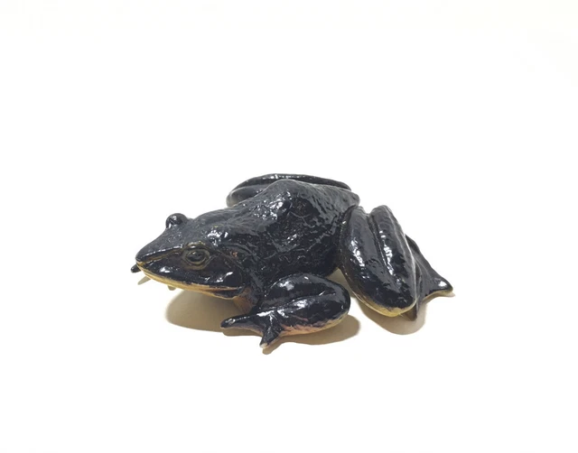 Kaiyodo Japan Exclusive Goliath Frog Animal Figure