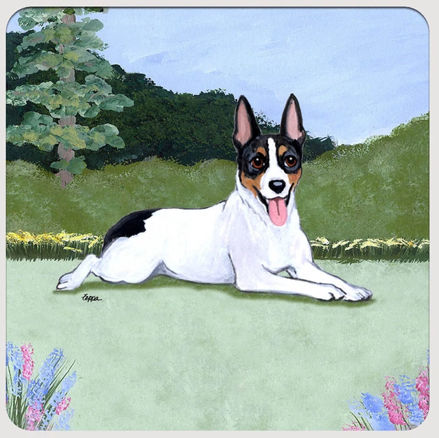 Rat Terrier Coasters - Set of 4