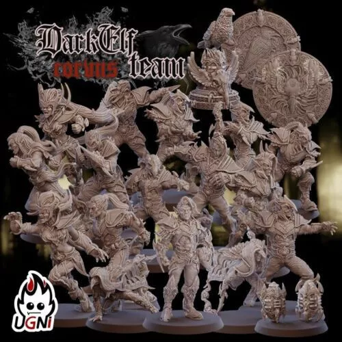 Ugni Dark Elf  Bloodbowl Full Team 