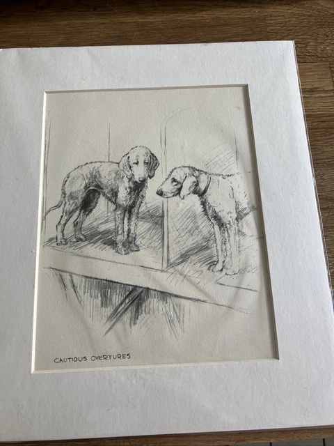 Bedlington Terrier Print/Drawing? Curious, Overtures