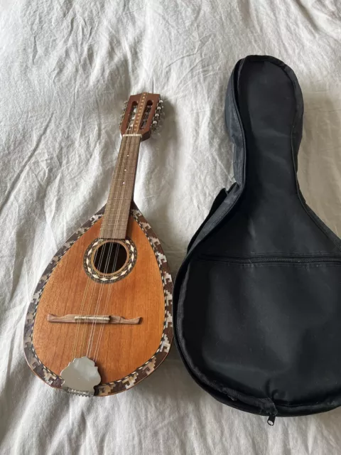 Armadillo Mandolin