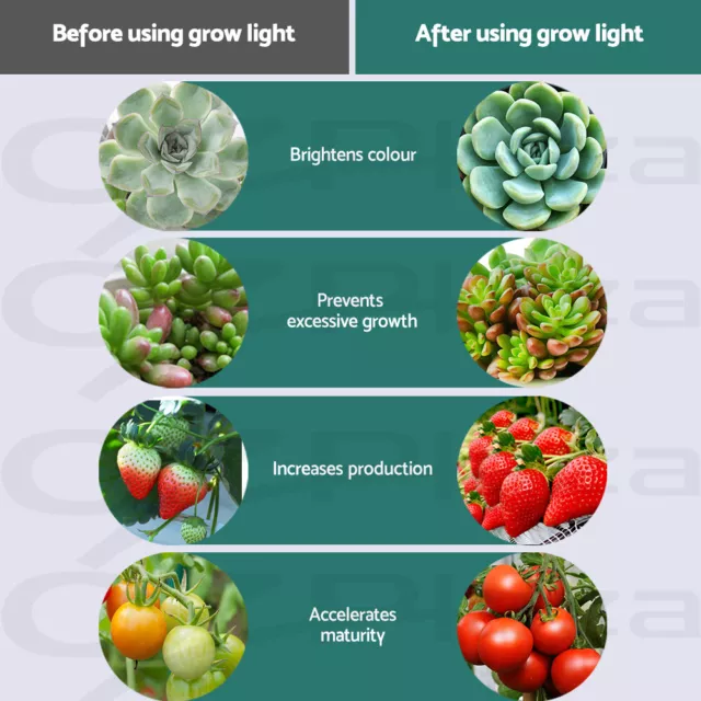 Greenfingers LED Grow Light 300W 600W 1000W 2000W Indoor Veg Bloom Full Spectrum 3