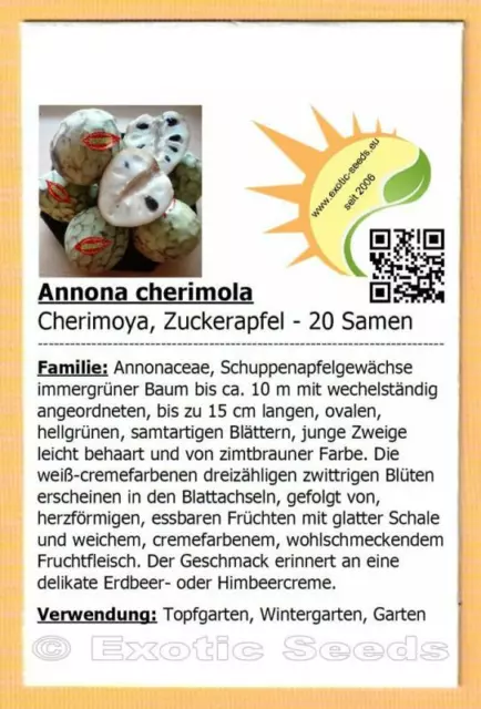 Annona cherimola - Cherimoya -Zuckerapfel - 20 -100 Samen m. Stecketikett