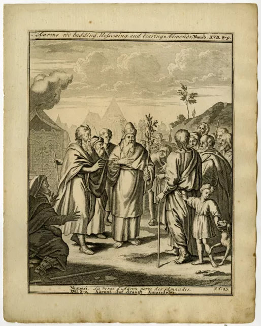 Antique Print-AARON-MOSES-STAFF-ALMONDS-V.T. 25-Scheits-1754