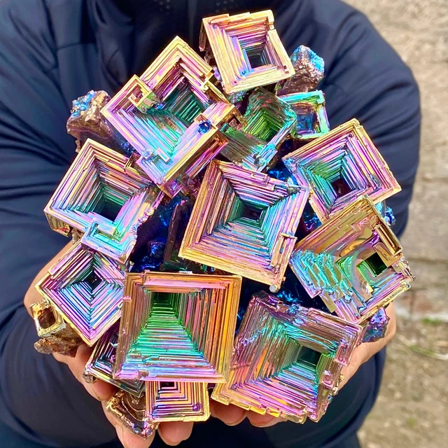 Pinces à Pansement Collège/coton 6 Pouces Titane Arc-en-ciel - Qualité Dentaire Allemande