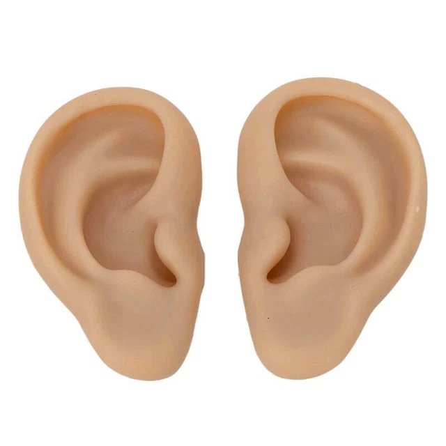 Modello didattico piercing orecchio in silicone riutilizzabile -