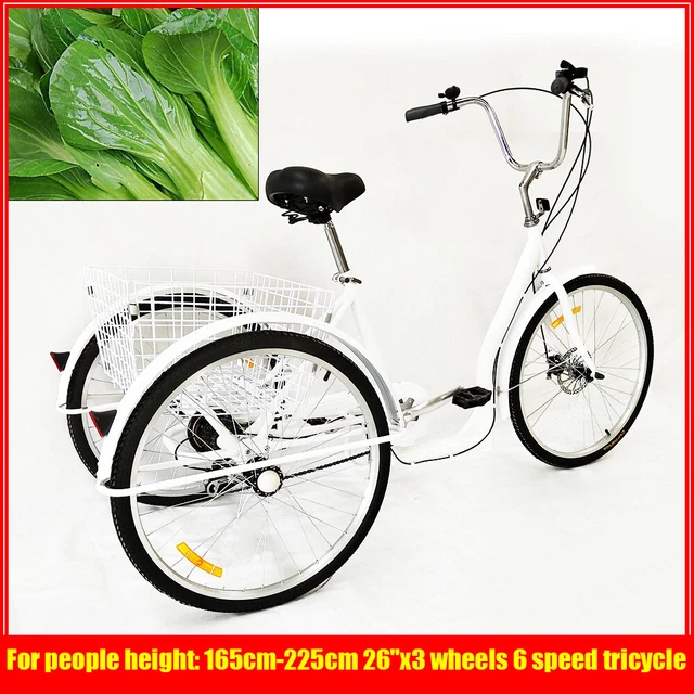 ADULT TRICYCLE 26& Inches Cargo Trike 6Speeds 3Wheels Cycling Bike