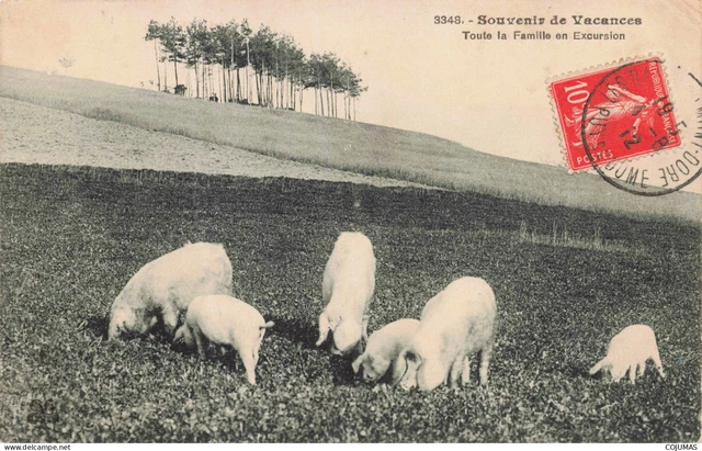 AGRICULTURE_S13879_ Whole Family on Excursion Holiday Souvenir Pigs