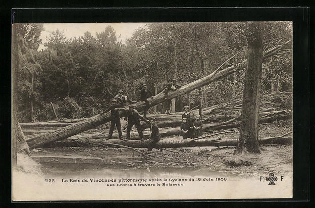 CPA Le Bois de Vincennes, picturesque after the 1908 Cyclone - Les Arbres through