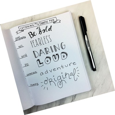 Sharpie Art Pens, Fine Point, Assorted Colors, Hard Case, 12 Pack (1982057) 8