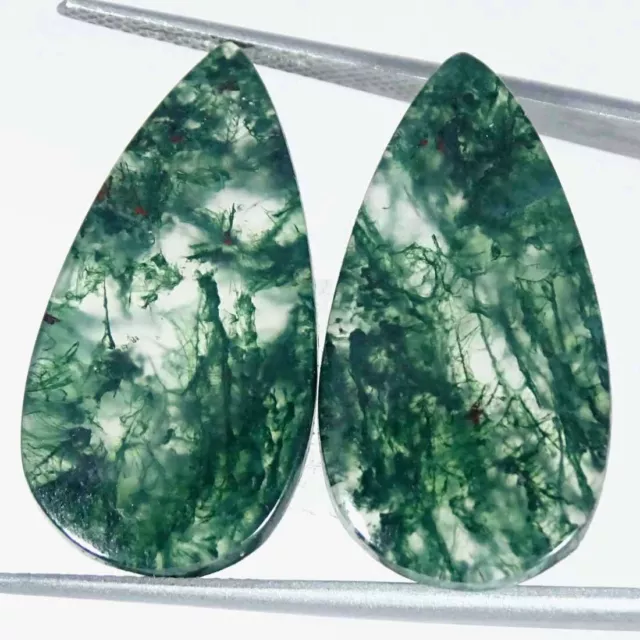 20.50Cts Natural Green Moss Agate Pear Pair Cabochon Loose Gemstone